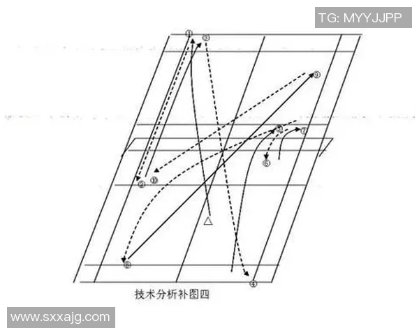 重庆羽毛球队战术解析与对比分析揭示胜负关键因素